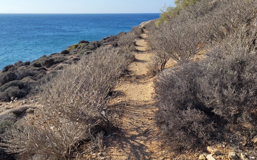 Très belle randonnée à Syros dans les Cyclades