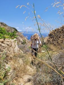 I highly recommend hiking in Syros
