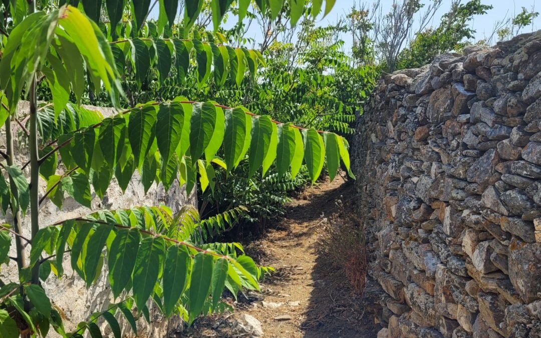 Hiking in Syros Island